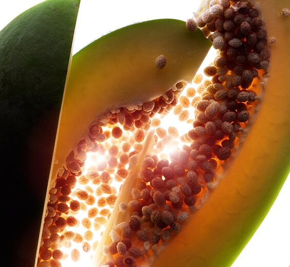 Papaya-Stabilized papain-undefined
