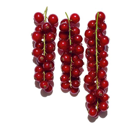 Red currant-Organic red currant extract-Ribes rubrum (currant) fruit extract