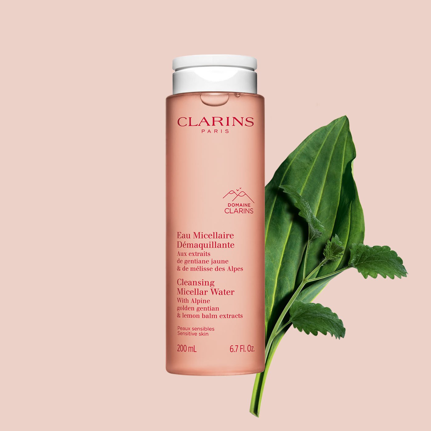 Skin 2025 cleansing water