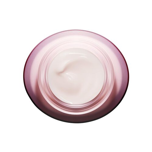 Multi-Active Day Cream-Gel - Normal to Combination Skin