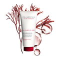 Expert Smoothing Conditioner