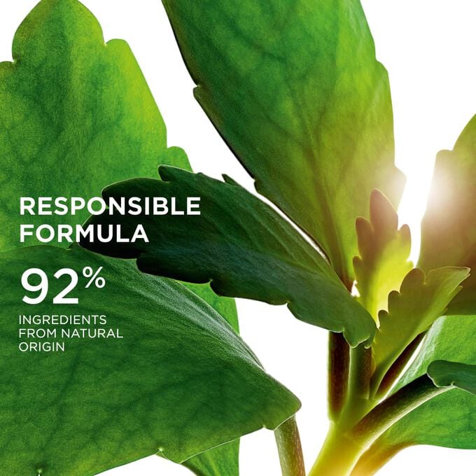 Focus on leaves, illustrating the 92% natural origin ingredients used in the Precious range for a sustainable skincare formula.