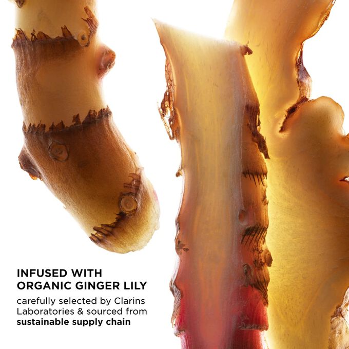 Focus on ginger slices, highlighting UV Protect's key ingredients, carefully selected by Clarins Laboratories and sourced sustainably.