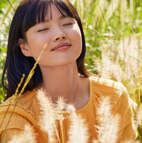 Calm-Essentiel Model