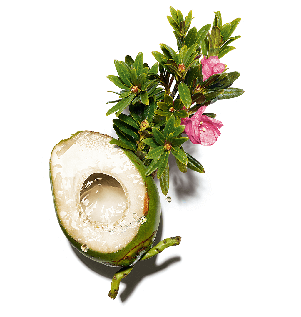Organic coconut water ingredient and Queen of the Alps extract