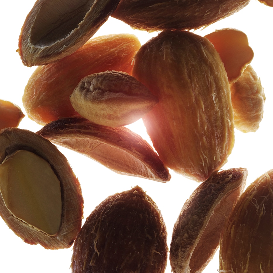 Desert date-Organic desert date extract-Balanites roxburghii seed oil