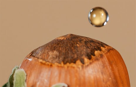 Hazelnut oil ingredient