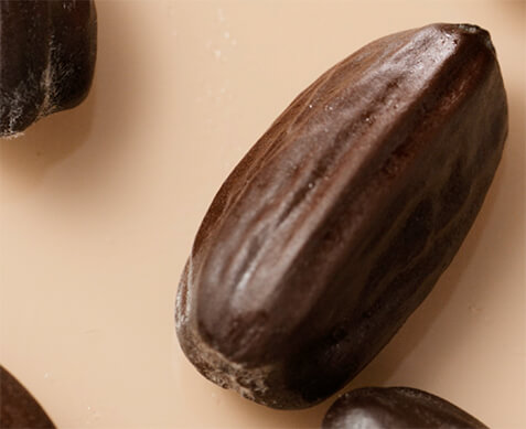 Jojoba oil ingredient