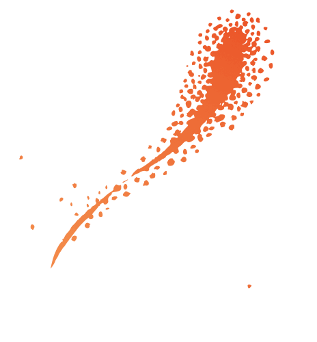 Firework