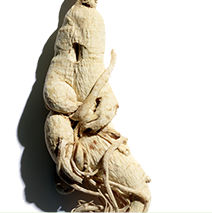 Ginseng ingredient