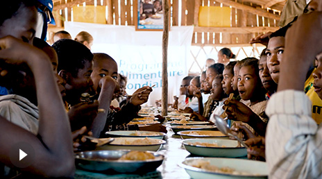 What is in the meals?