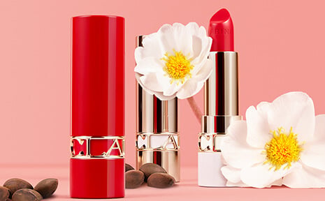 Still life visual