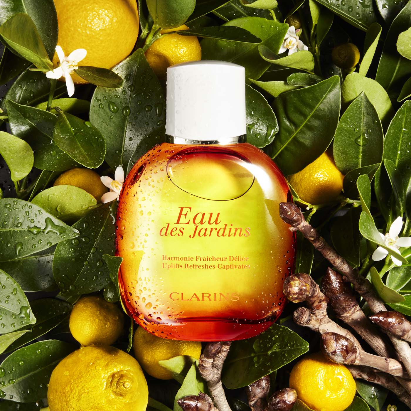 Eau des Jardins Treatment Fragrance Clarins Clarins